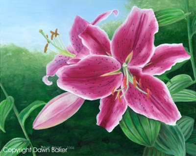 Stargazer Lily Art